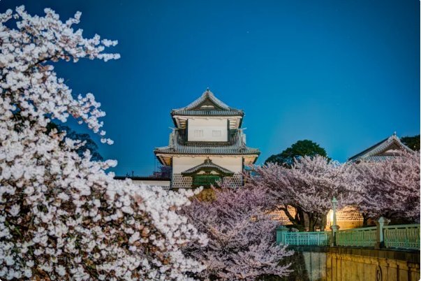 【名古屋】五人日本露營車租借48小時自駕遊自由行套票(C-ROBINSON771)