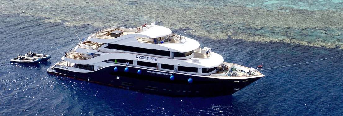 【Egypt】All Star Scuba Scene / Red Sea