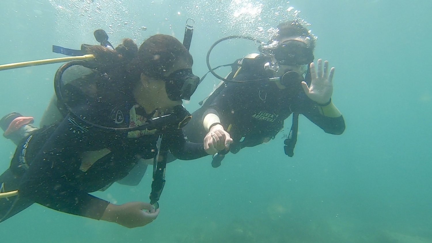【潛水初體驗!】PADI 體驗潛水( 出海/泳池)
