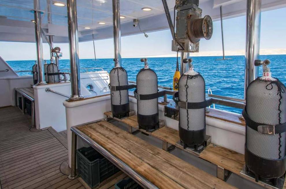 【Egypt】Master Liveaboard-Blue Horizon