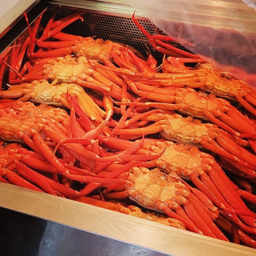 【酒遍北陸東日本之旅】世界遺產「白川鄉」、豪華觀光列車細味新潟水鏡絕景7日深度遊