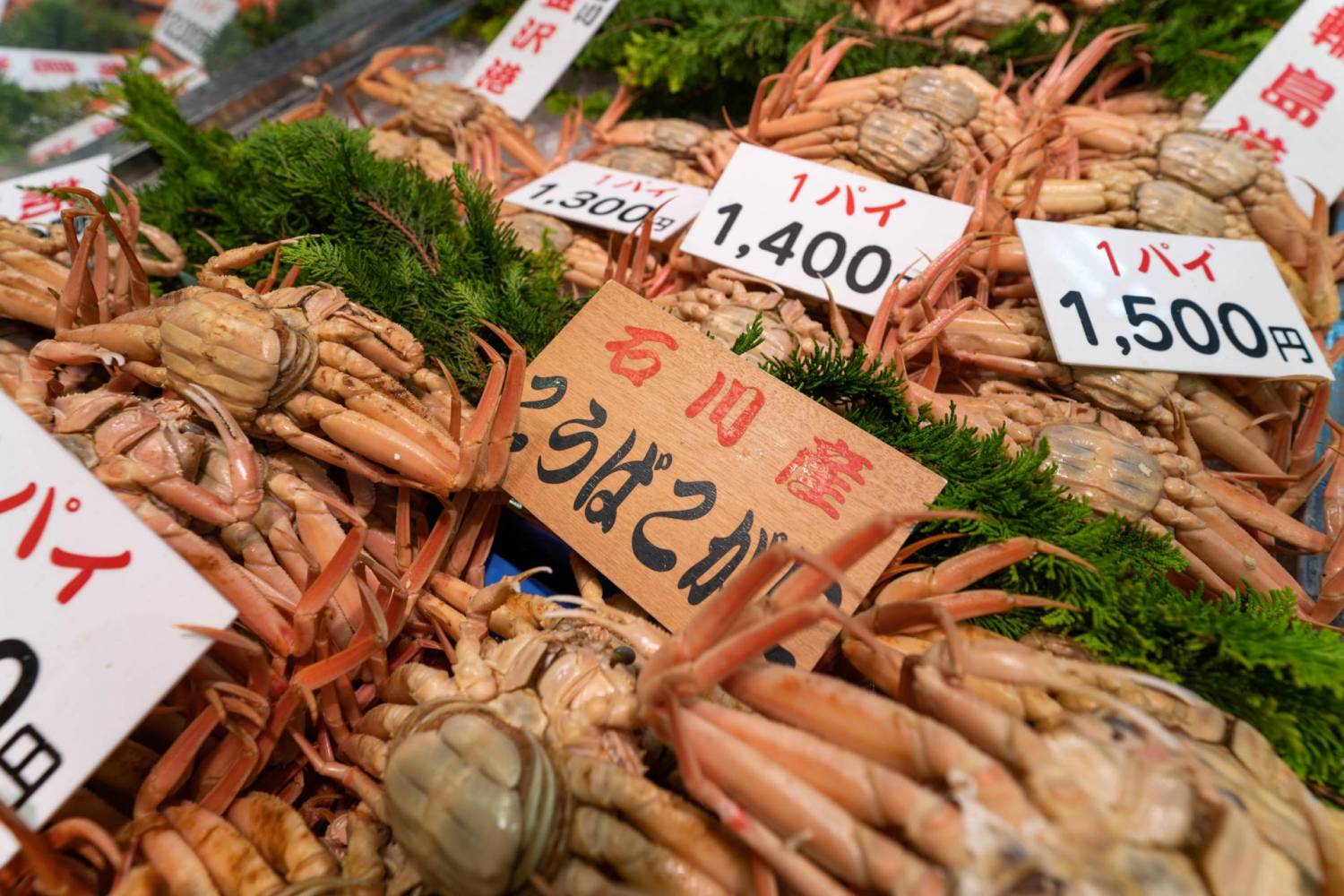 【秋日絕美紅葉旅行團】 白川鄉金澤、加賀溫泉 京都大板秋日深度7天遊