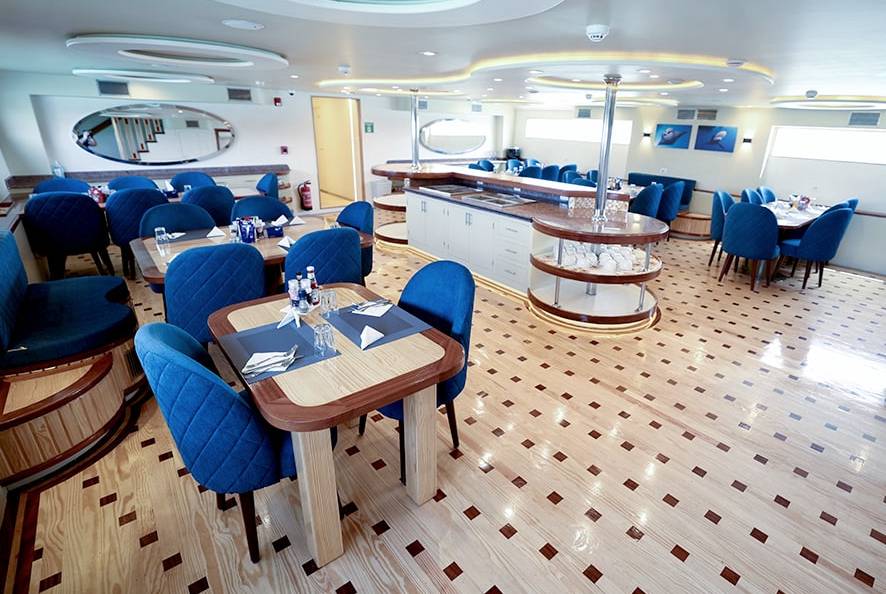 【Egypt】All Star Scuba Scene / Red Sea