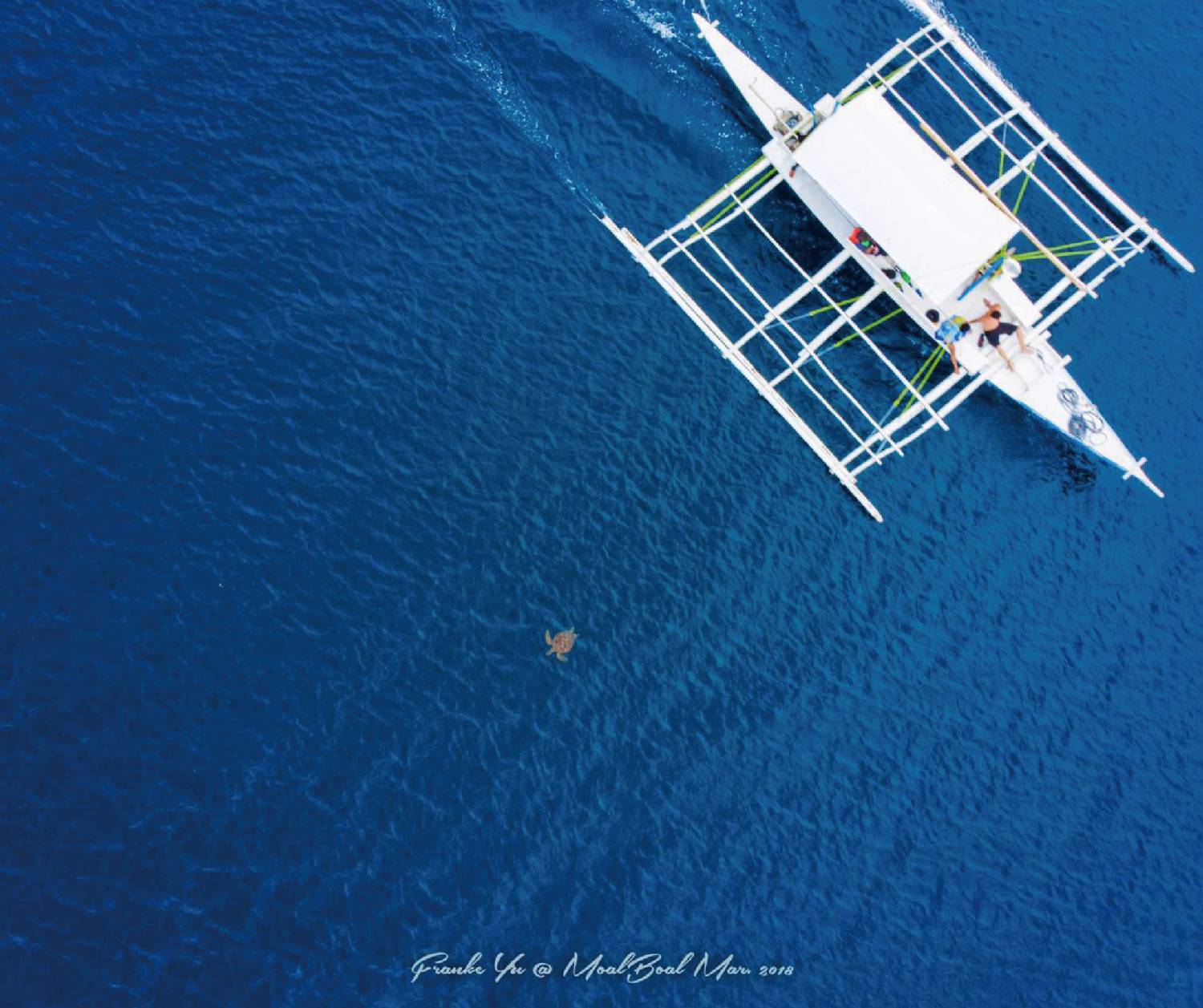 【菲律賓】宿霧開放水域潛水員課程(OW) -香港教練隨行