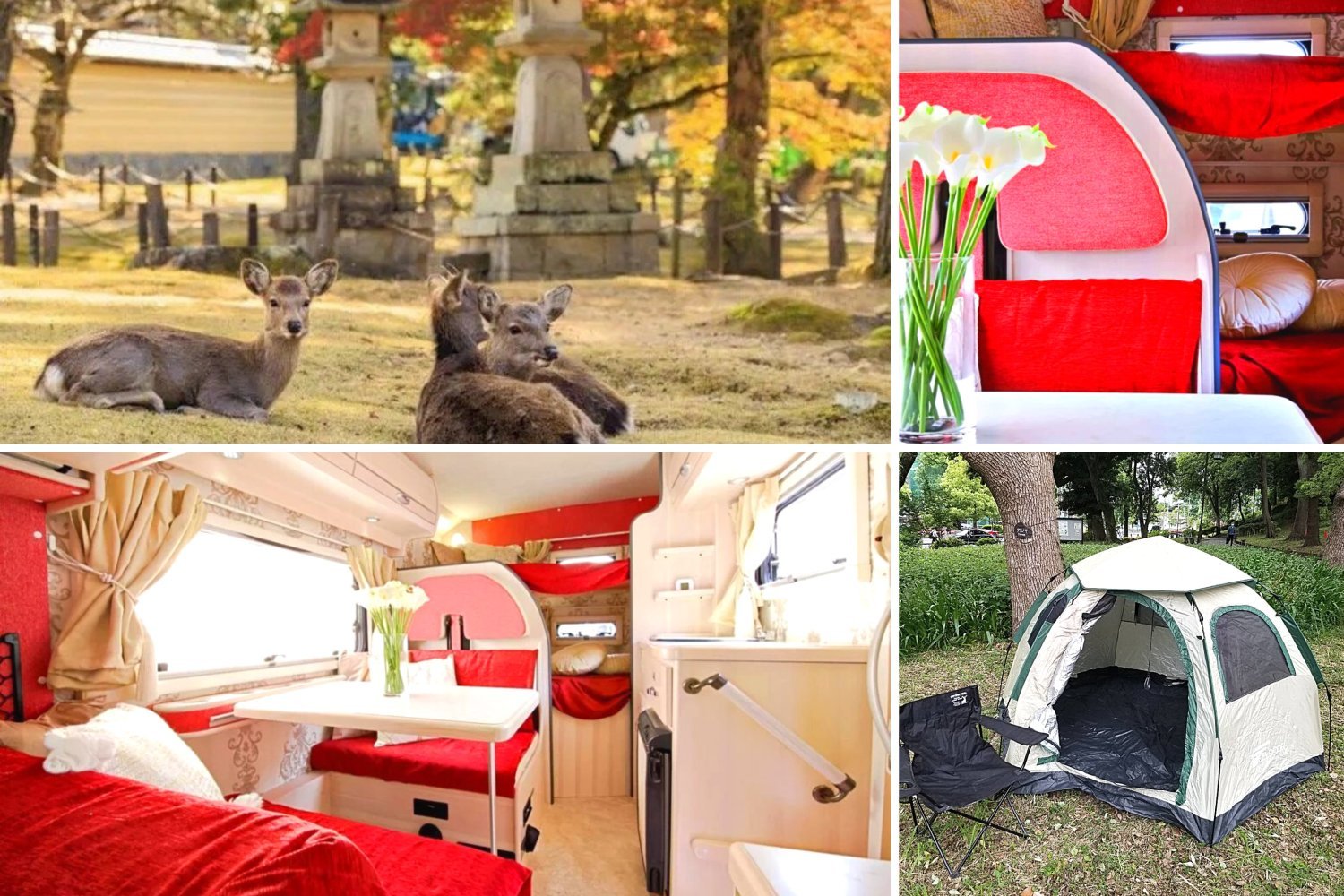 【Tokyo】Japan 5ppl RV Caravan 24 hours Rental Experience(JTSR)