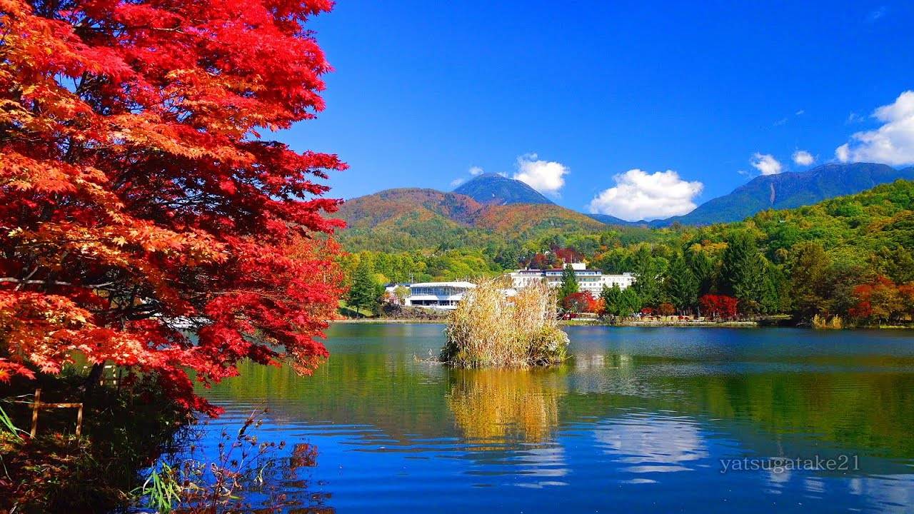 【富士山露營車旅行團】 日本東京七日六夜 秋日紅葉 露營車旅行團