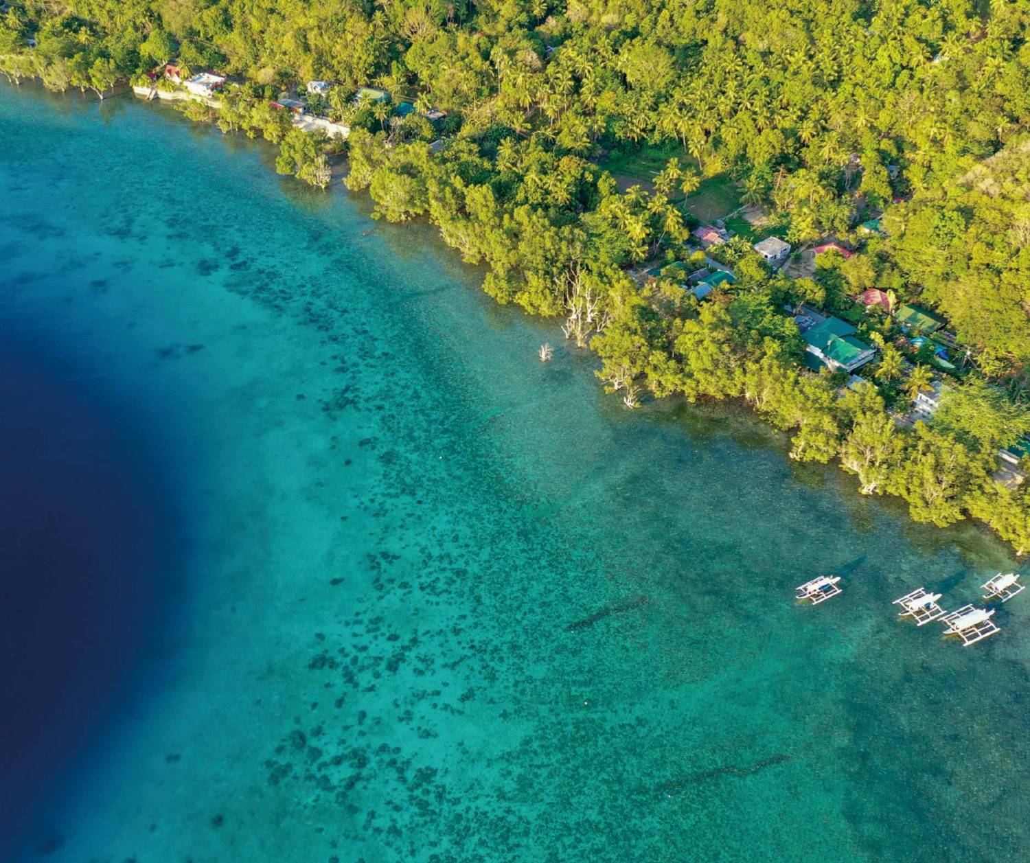 【Romblon】The Three P Holiday & Dive Resort 4 days 3 nights Philippines diving package