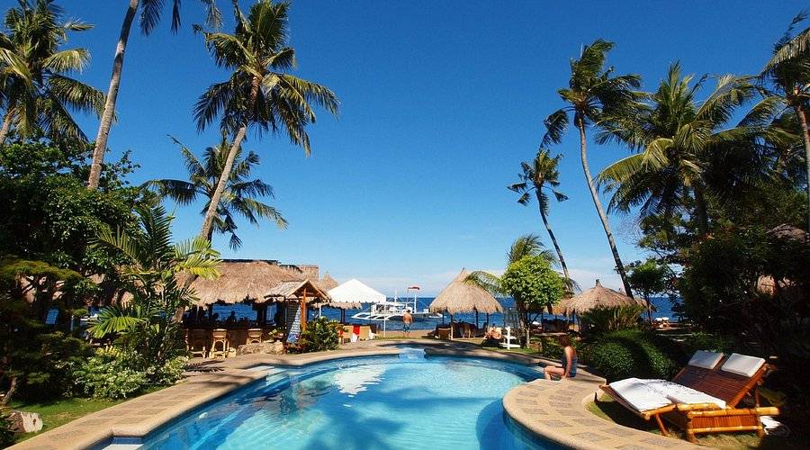 【Dumaguete】Pura Vida Beach & Dive Resort Philippines Diving package