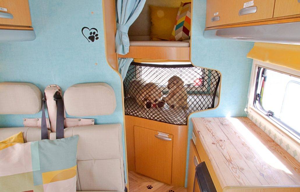 【Tokyo】Japan 6ppl RV Caravan 24 hours Rental Experience(JTSMN)