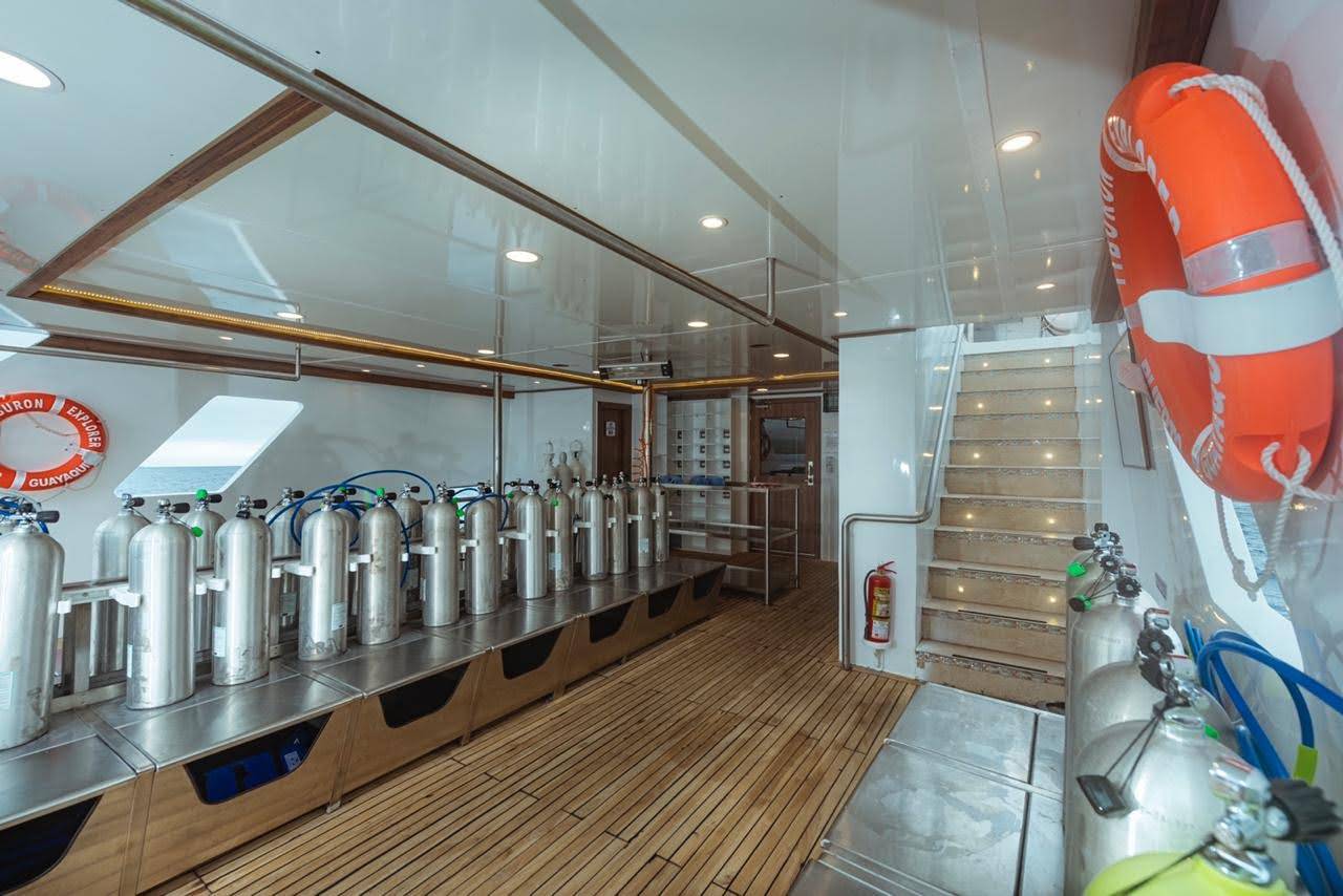 【Ecuador】Explorer Ventures-Tiburon ExplorerDiving Package