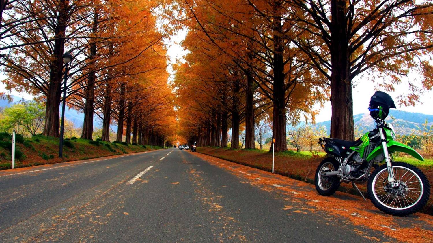 【秋日絕美紅葉旅行團】 白川鄉金澤、加賀溫泉 京都大板秋日深度7天遊