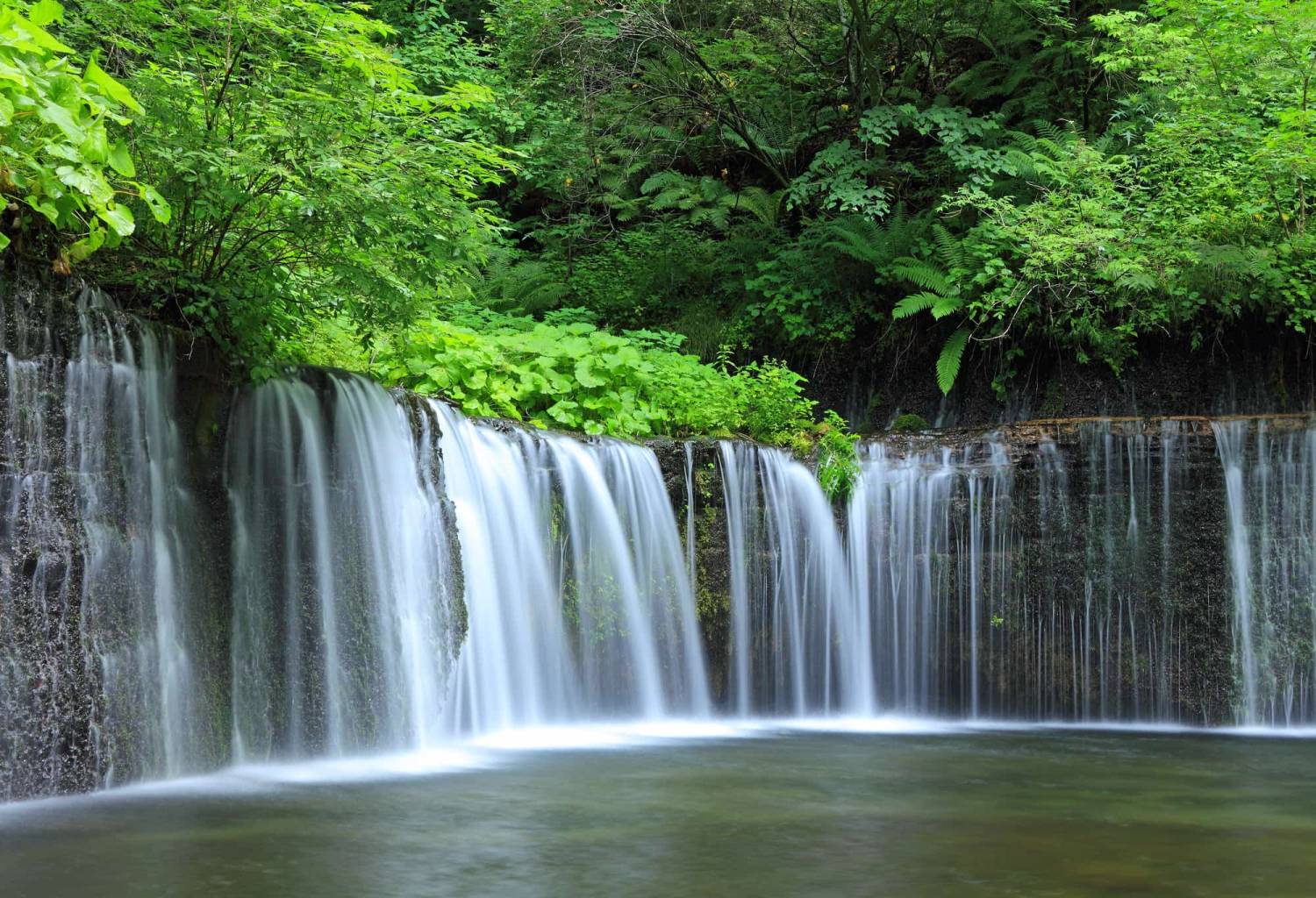 【富士山露營車旅行團】 日本東京七日六夜 秋日紅葉 露營車旅行團