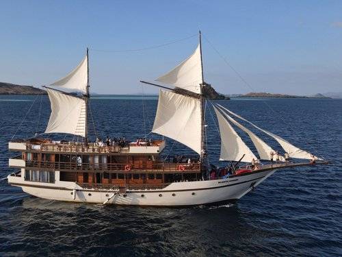 【Indonesia】Majestic Voyager Liveaboard