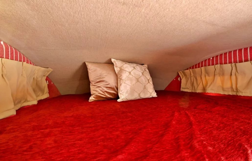 【Tokyo】Japan 5ppl RV Caravan 24 hours Rental Experience(JTSR)