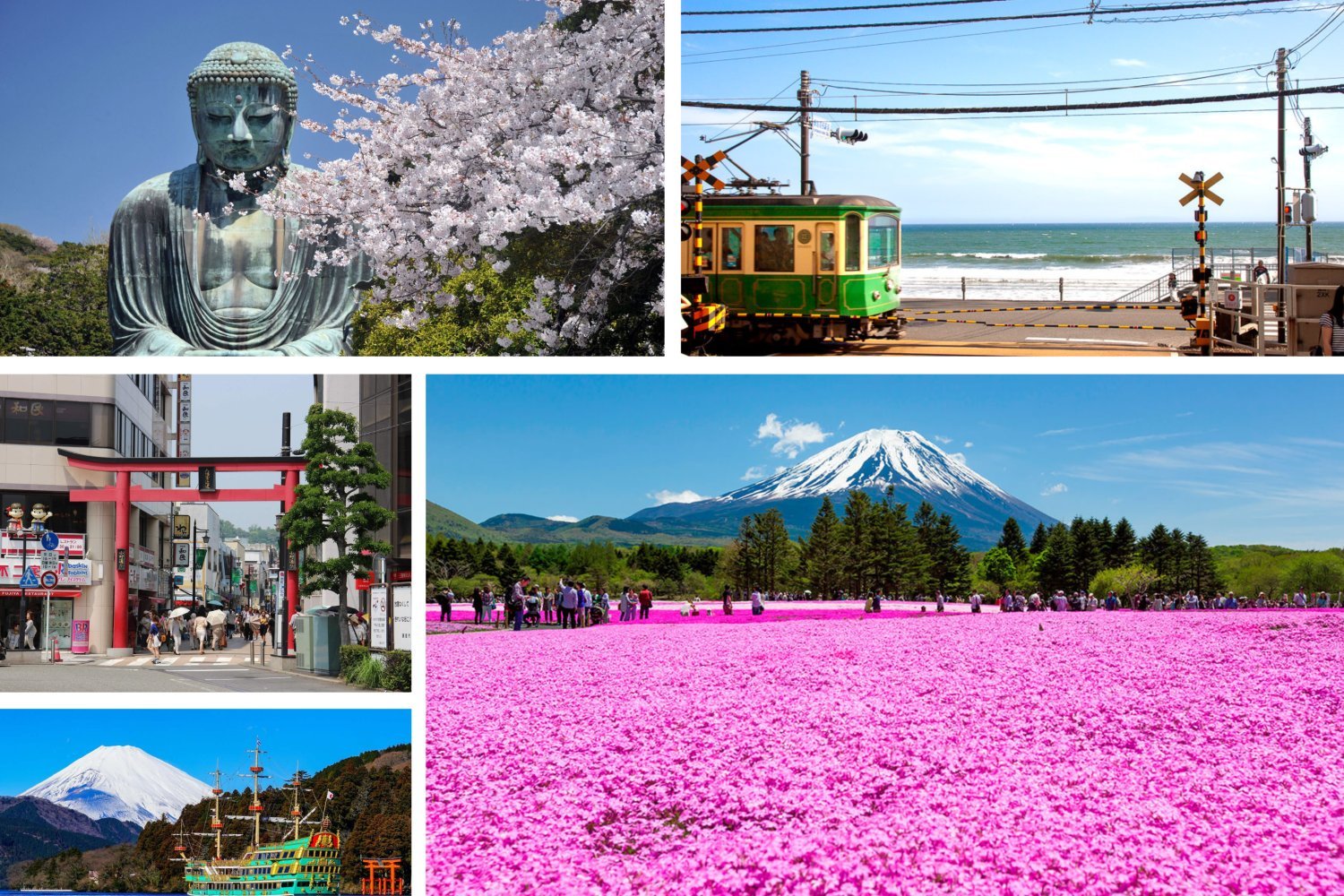 【Private Charter】Tokyo 10-Hour Customized City Tour to Mount Fuji/Kamakura/Karuizawa/Nikko with Chinese-speaking Driver (7/10 Passenger Vehicle)