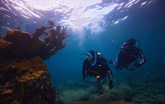 PADI 開放水域潛水員課程(青少年)