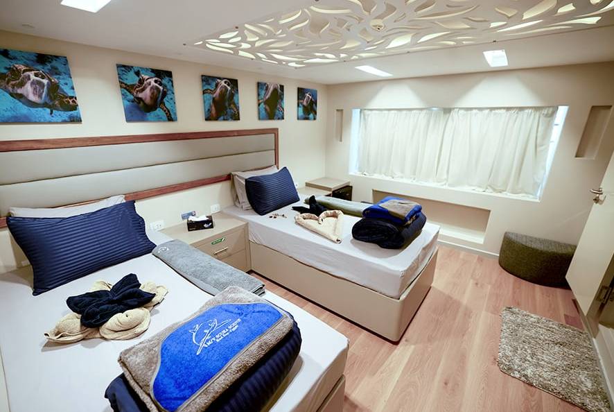 【Egypt】All Star Scuba Scene / Red Sea