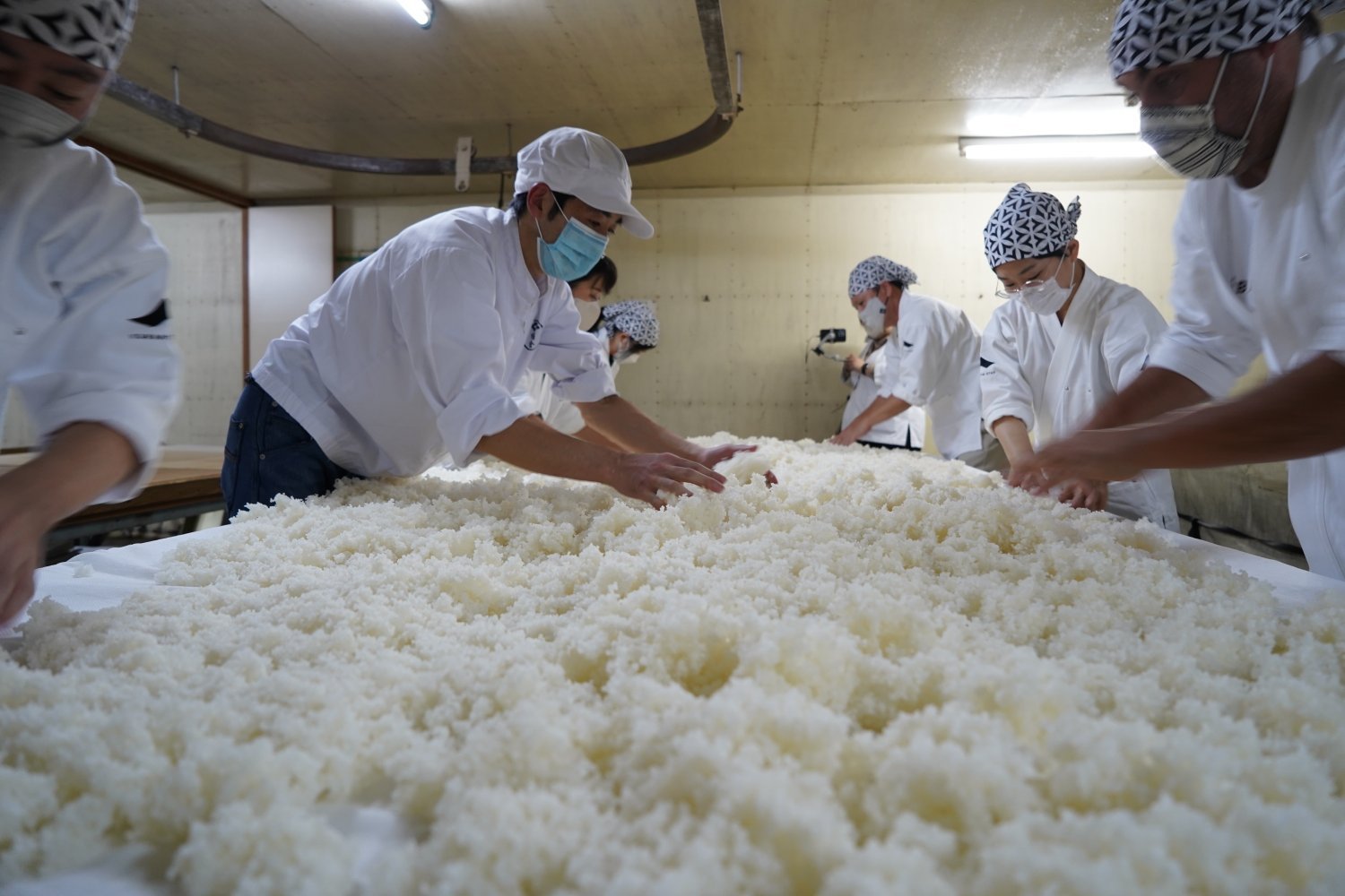 【釀造一瓶屬於自己的清酒】清酒釀製「藏人體驗」4日3夜體驗套票