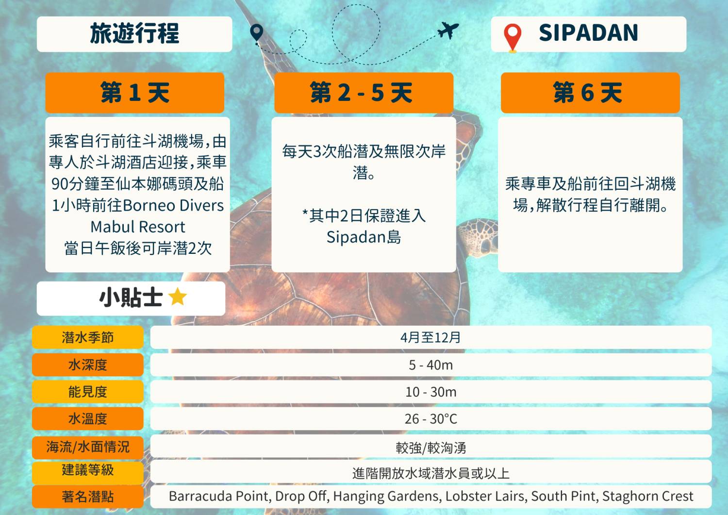 *最後一位，限女性【馬來西亞】2024年6月21至26日 －6日5夜 Sipadan 詩巴丹潛水團