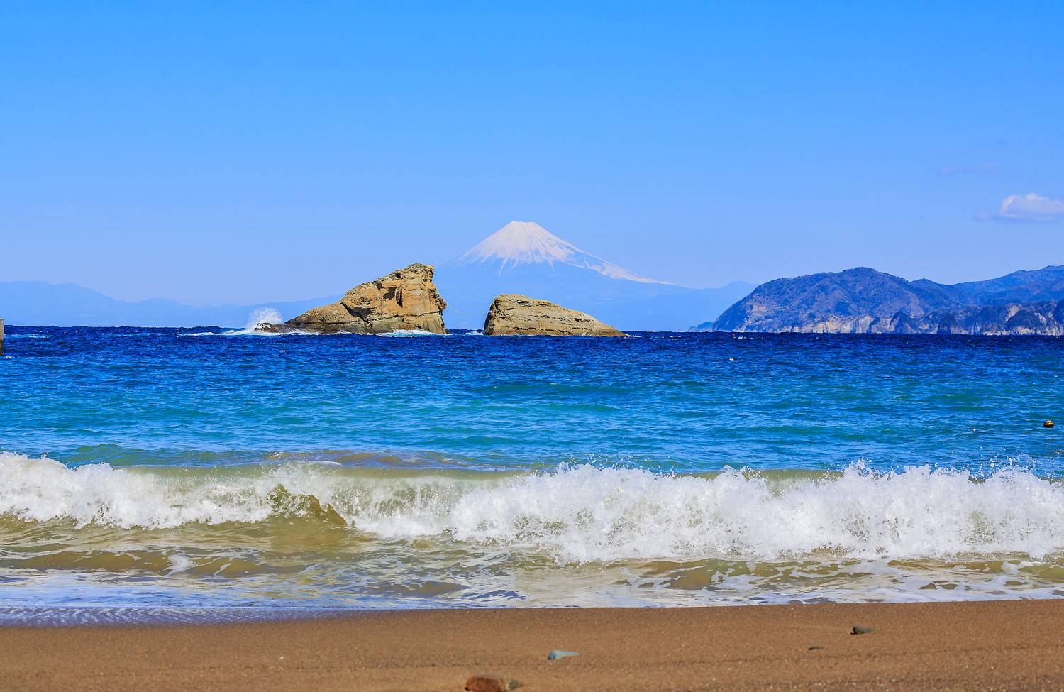 【伊豆】雲見 / 神子元島 與鎚頭鯊共游4日3夜日本潛水自由行套票