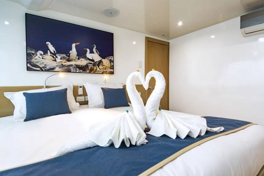 【Ecuador】Liveaboard- Calipso Diving Package