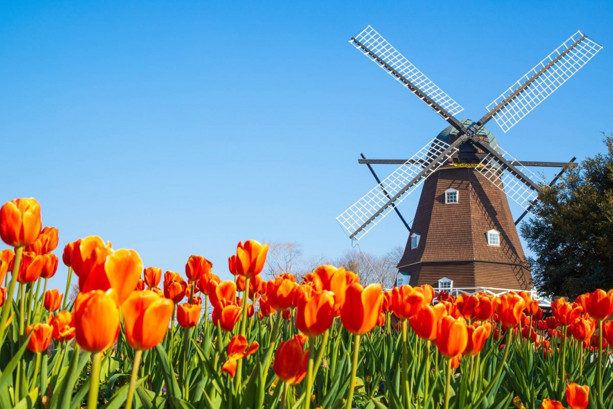 【東京新玩法】48小時成田機場取還Fly & Drive露營車自由行套票(VCL)