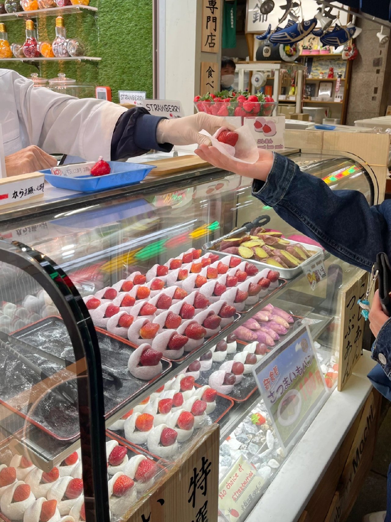 【Private Charter】Osaka 10-Hour Customized Cherry Blossom Viewing and Fruit Picking Tour to Kobe/Nara with Chinese-speaking Driver (7/10 Passenger Vehicle)