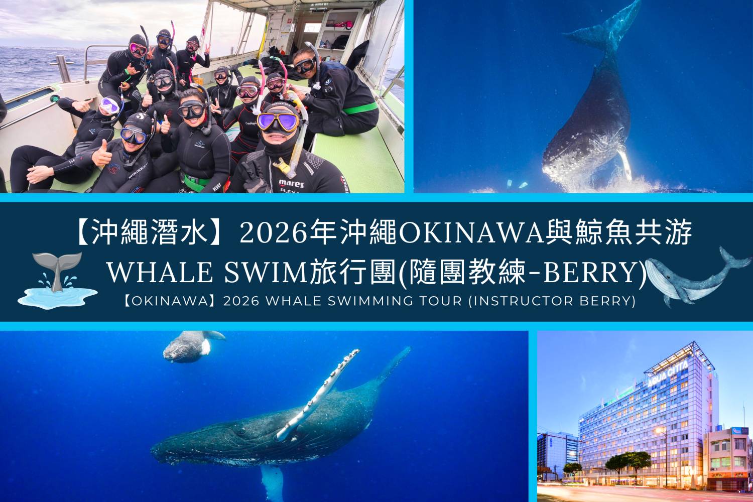 【Okinawa】2026 Whale Swimming Tour (Instructor Berry)