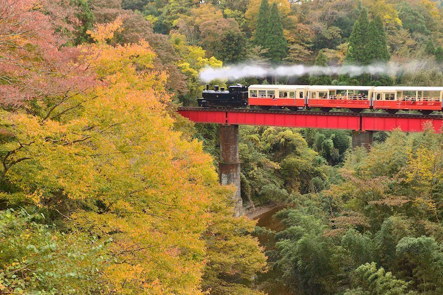 【露營式旅行】東京租借露營車24小時體驗 (5人)