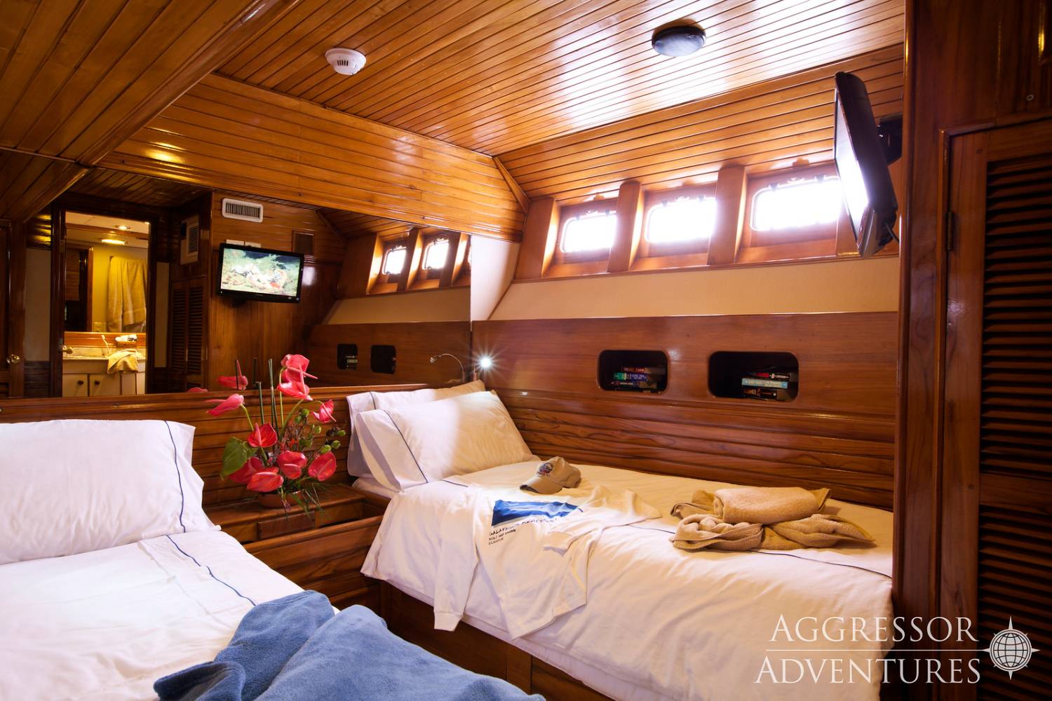 【Ecuador】Aggressor Liveaboard-Galapagos Aggressor III Diving Package