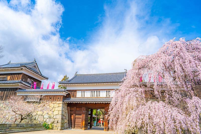 【日本JR Pass】東日本長野、新潟地區鐵路周遊券 | 電子票 (5日)