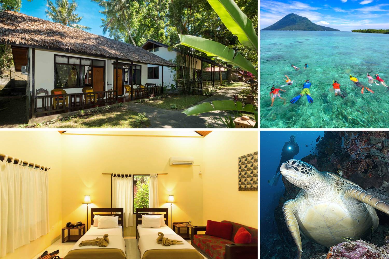 【Indonesia】 Murex Bangka Dive Resort diving package