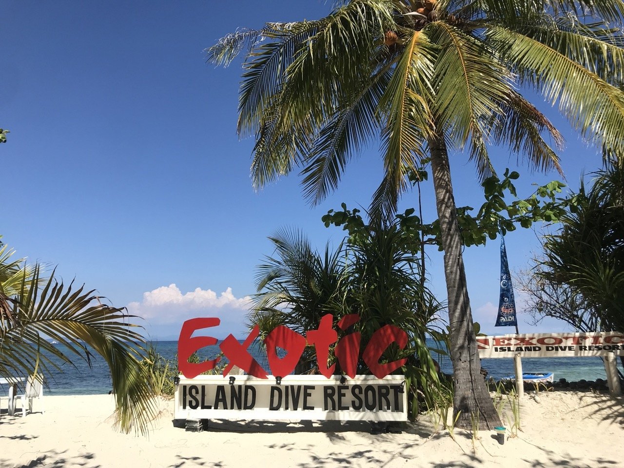 【Malapascua】Exotic Island Resort 5 days 4 nights Philippines Diving package