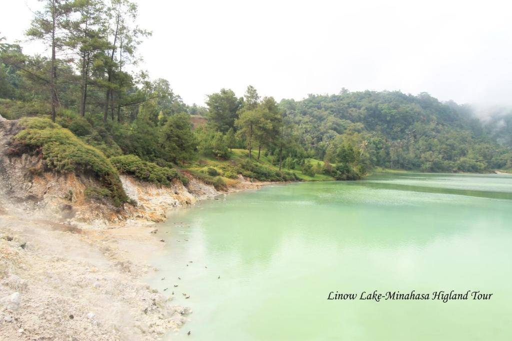 【Manado】Cocotinos Manado Resorts Indonesia diving package