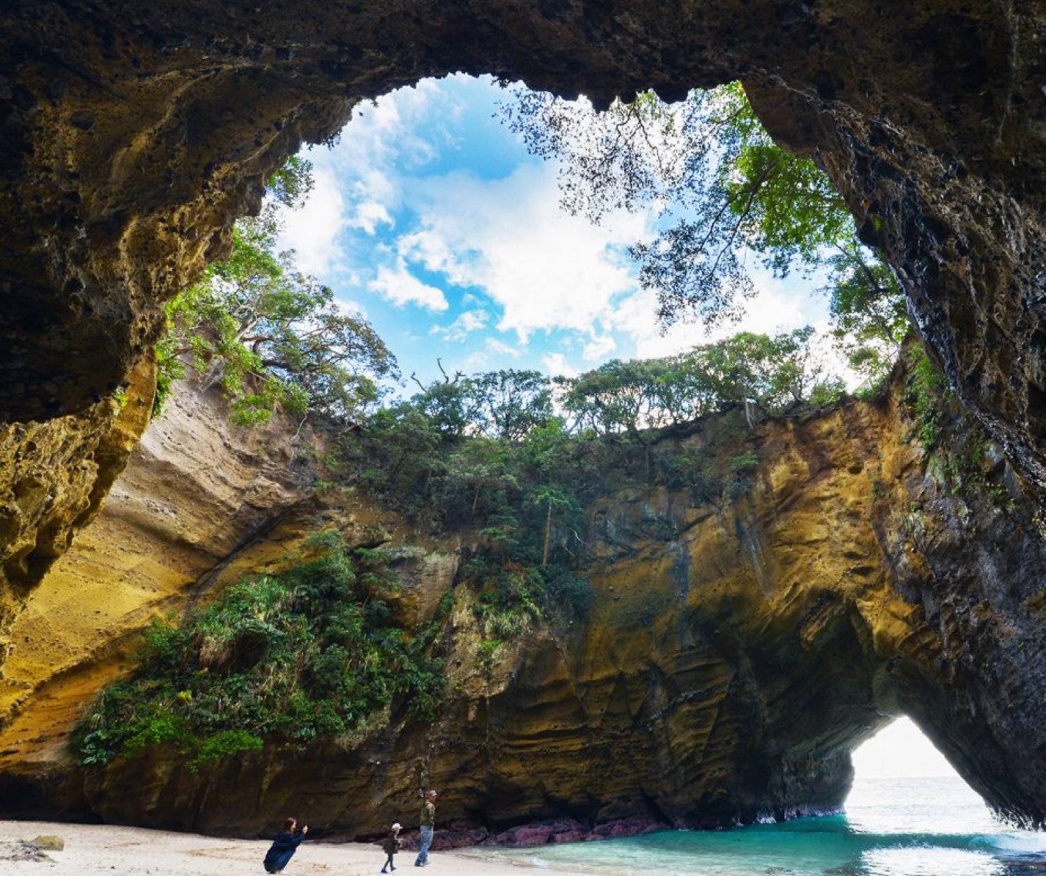 【神子元島】2025年8月23至27日 與鎚頭鯊共游潛水5日4夜旅遊潛水團 *隨團教練Berry*