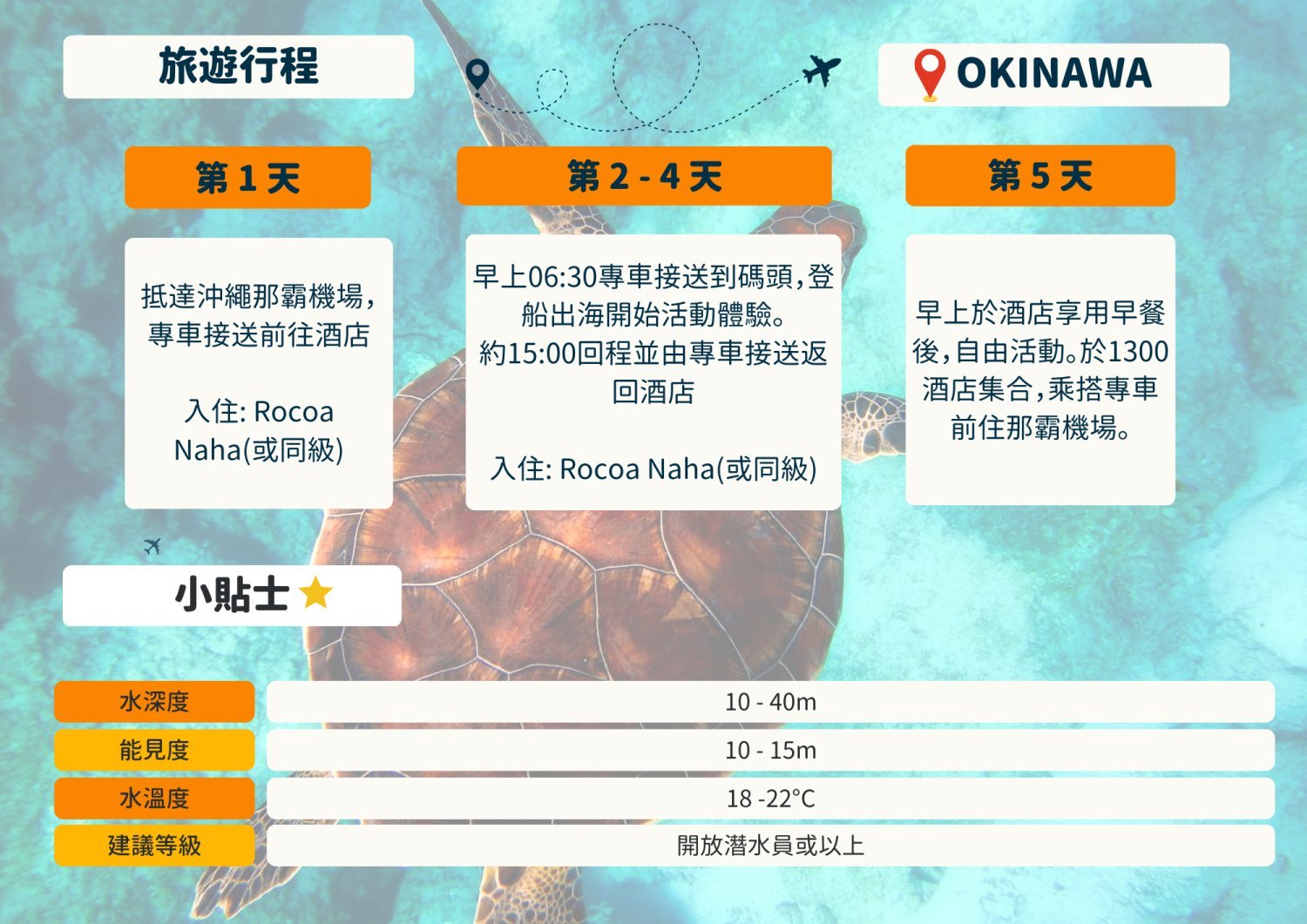 *已額滿*【沖繩潛水】2024年2月29-3月4日沖繩Okinawa與鯨魚共游Whale Swim5日4夜旅行團