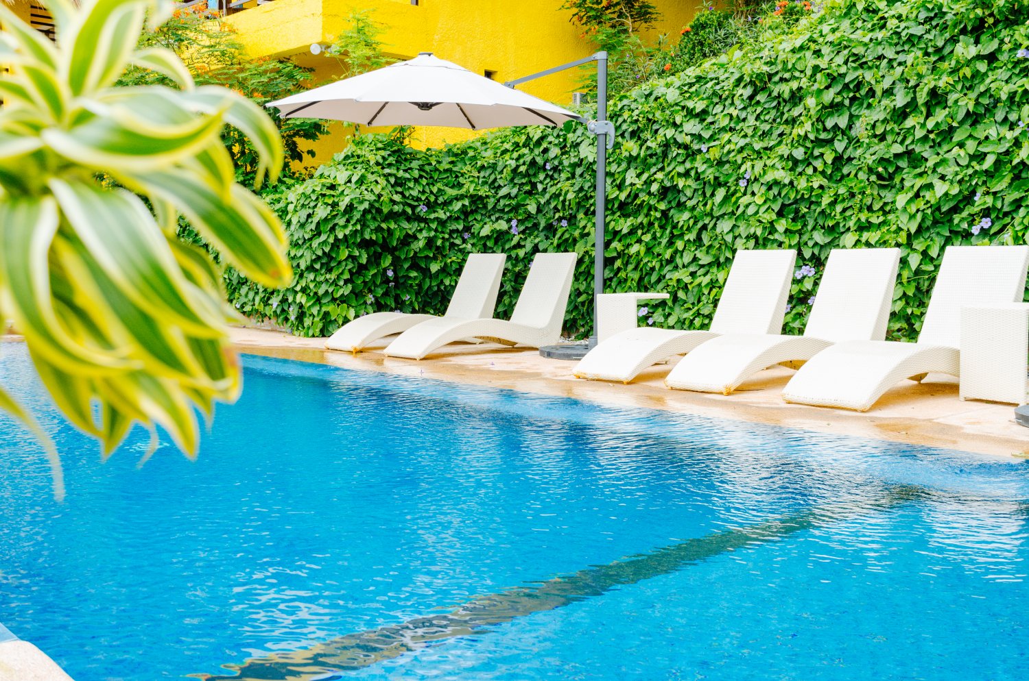 【Anilao】阿尼洛Buceo Anilao Beach & Dive Resort 5/4日潛水課程套票