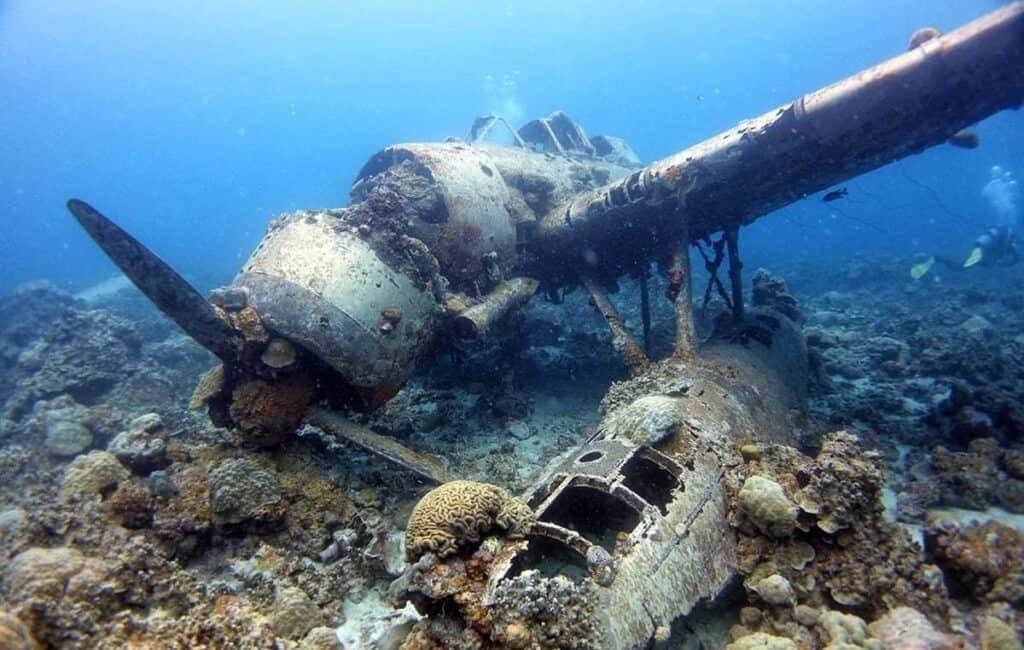 【帛琉澳門直航】- 新年2024年1月2至7日-6日5夜 帛琉機票自由行套票