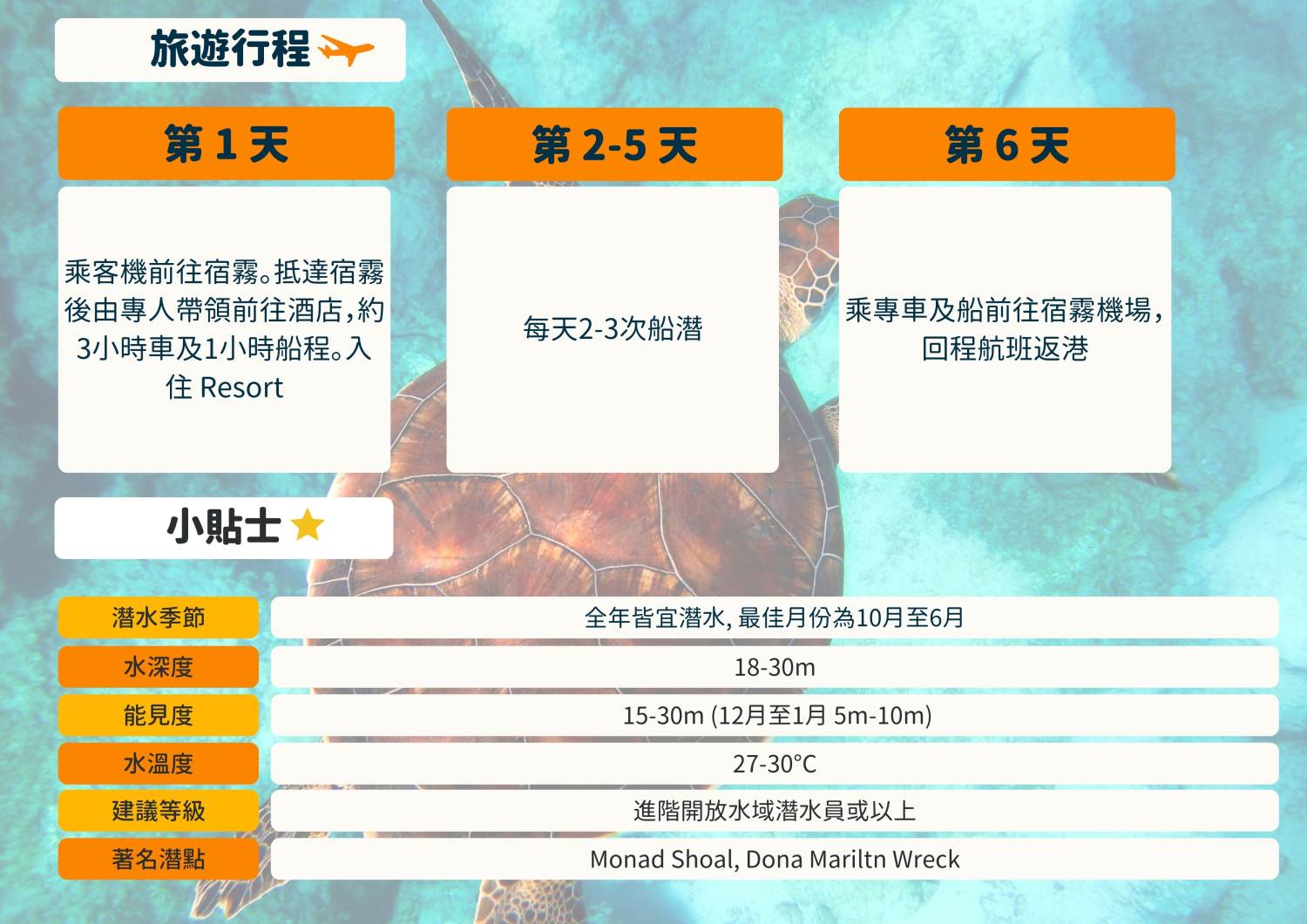 【菲律賓】2024年2月13-18日（ 年初四至初九）*最後4位 *6日5夜Malapascua 菲律賓潛水團