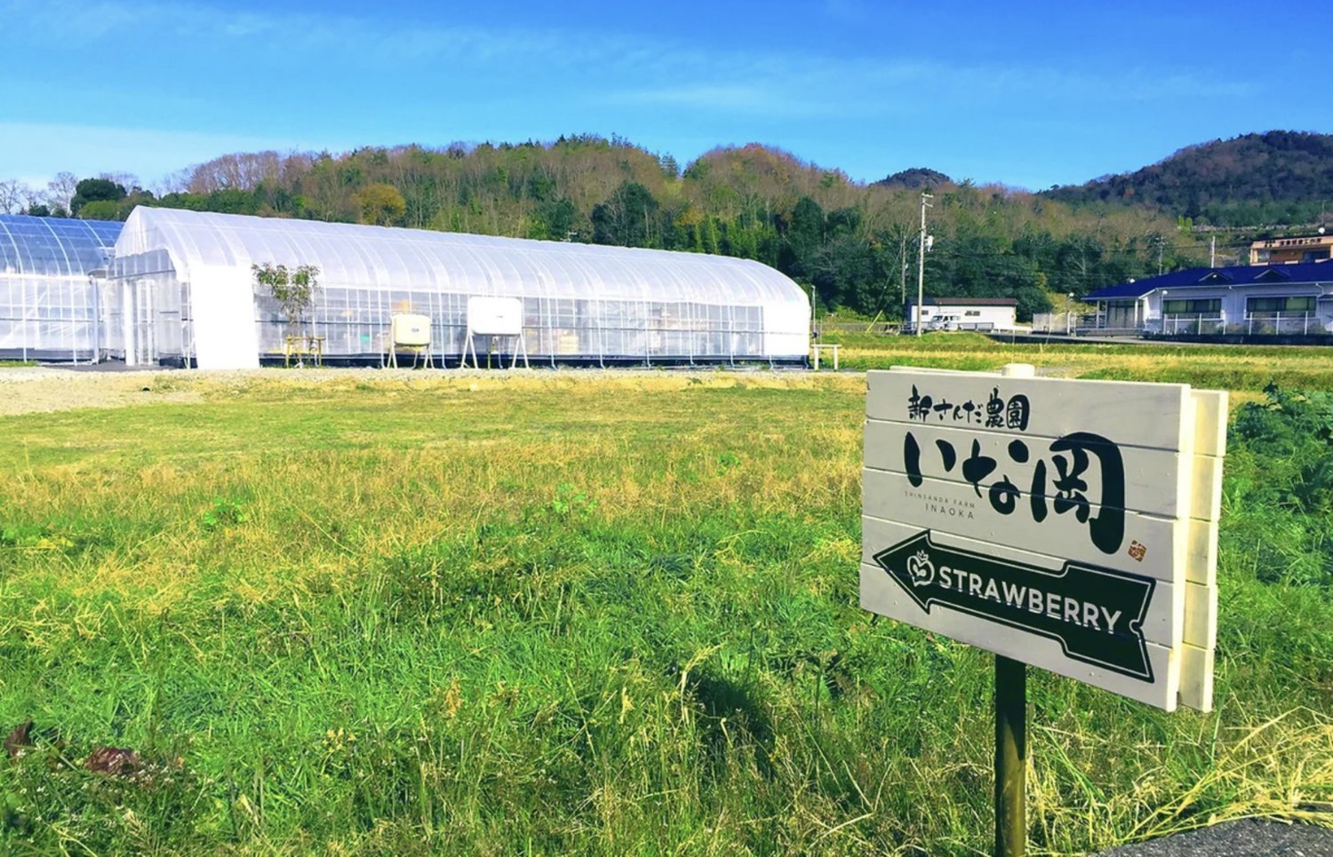 【莓香四溢】大阪Inaoka 水果園30分鐘草莓吃到飽體驗