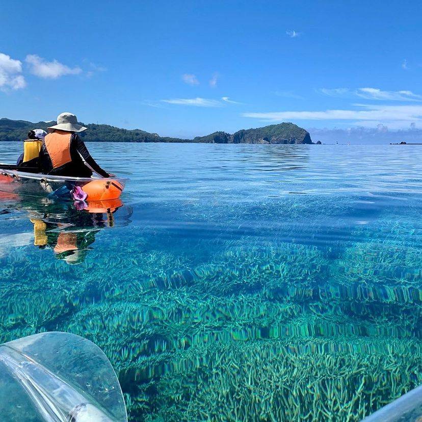 【東京小笠原群島】東方厄瓜多爾7日6夜潛水旅行團