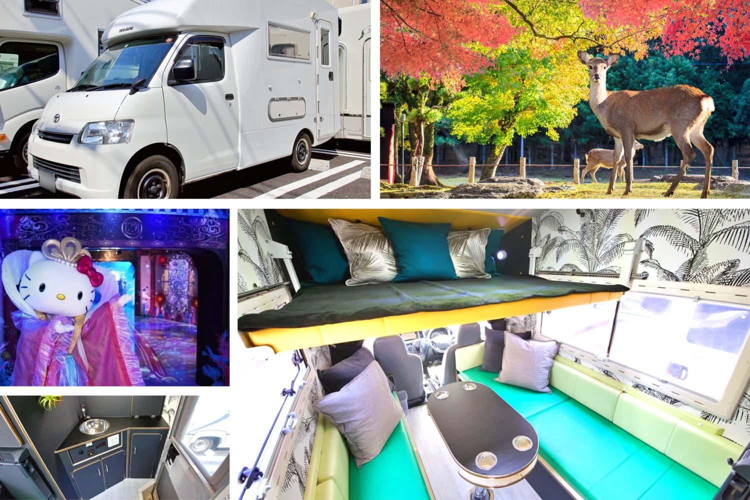【Osaka】Japan 5ppl RV Caravan 24 hours Rental Experience(JOSN)