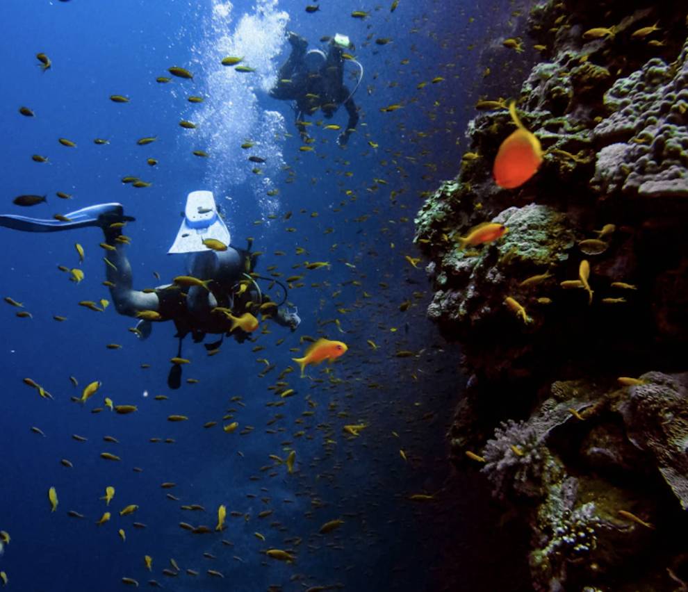 【Fuji】Matava Resort Diving package