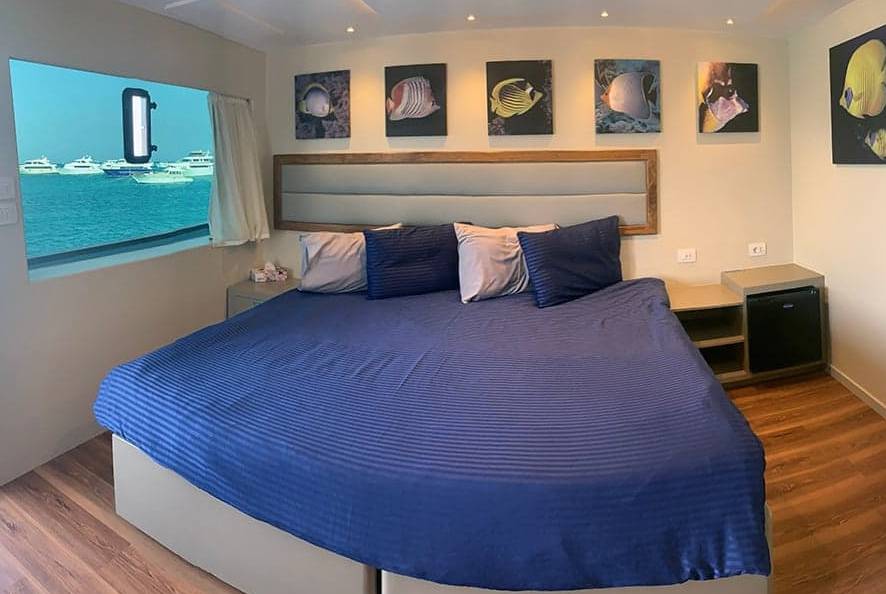 【Egypt】All Star Scuba Scene / Red Sea