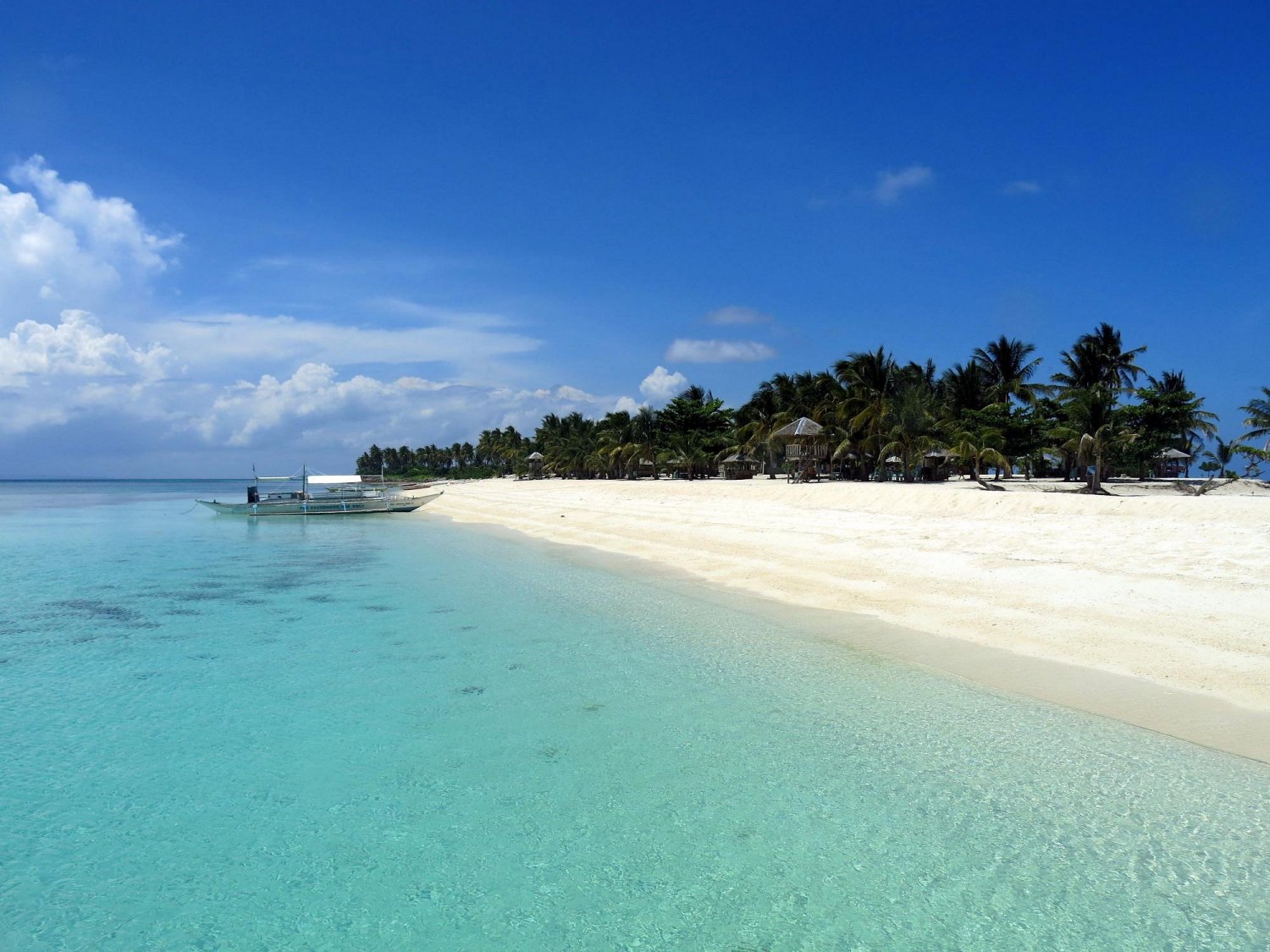 【菲律賓】2025年4月3日-8日 6日5夜Malapascua 菲律賓潛水團