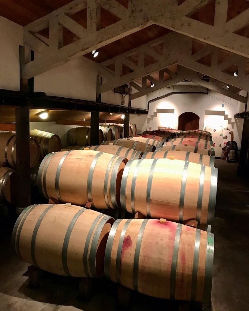 【酒遍北陸東日本之旅】世界遺產「白川鄉」、豪華觀光列車細味新潟水鏡絕景7日深度遊