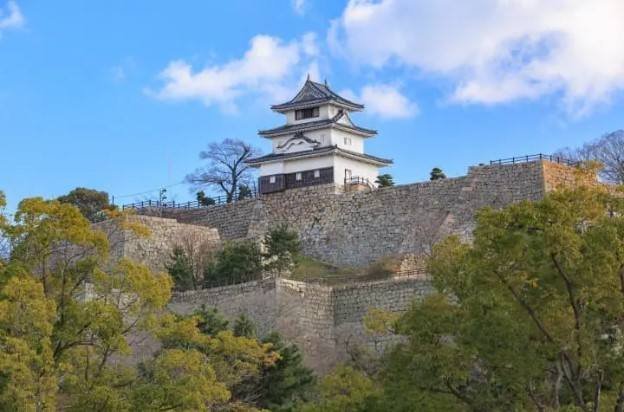 【日本JR Pass】四國鐵路周遊券 | 電子票 (3/4/5/7日)