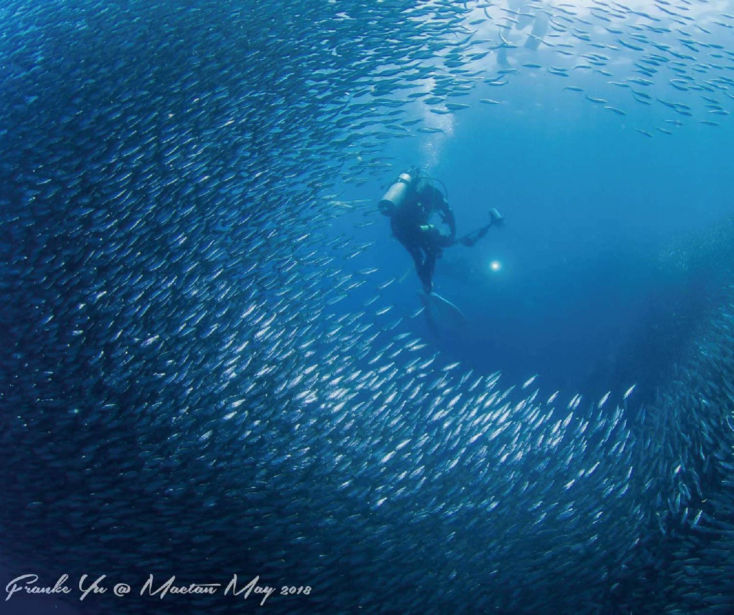 【菲律賓】宿霧開放水域潛水員課程(OW) -香港教練隨行