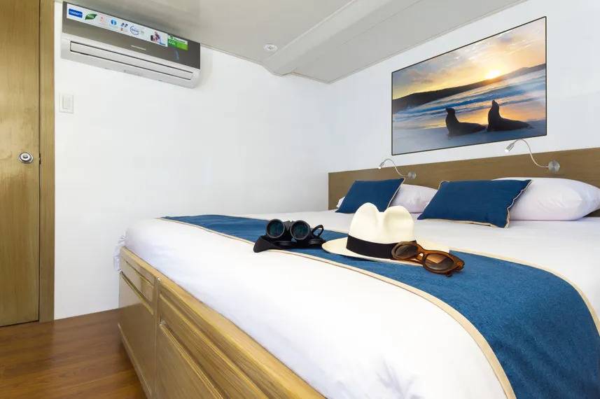 【Ecuador】Liveaboard- Calipso Diving Package