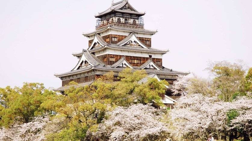 【四國廣島】七人日本露營車24小時租用體驗(C-ROBINSON771)